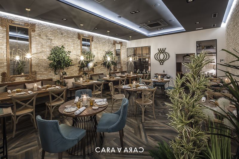 mister-wills-proyecto-ajo-de-sopas-palencia-comodoos-3