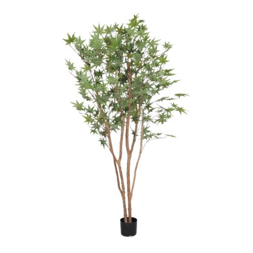 DECORATIVE ARTIFICIAL PLANT PACHIRA TREE. Find it on MisterWils. More than 4000sqm of showroom and warehouse. 1