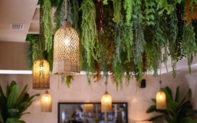 Lighting for restaurants, latest trends in ceiling lamps