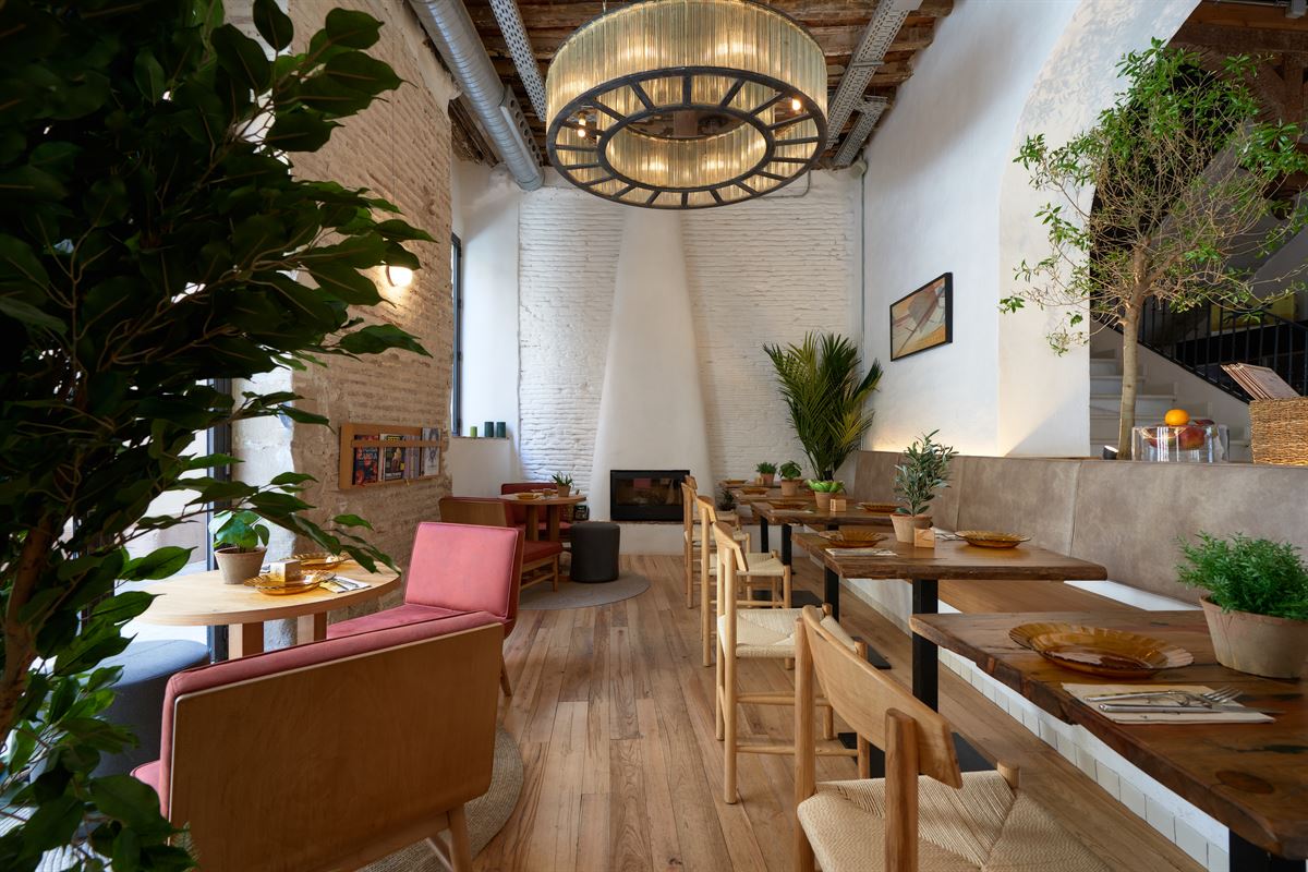 Perro Viejo en Málaga, un lugar privilegiado y una comida de diez 1