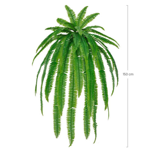 PLANTA HELECHO cotas